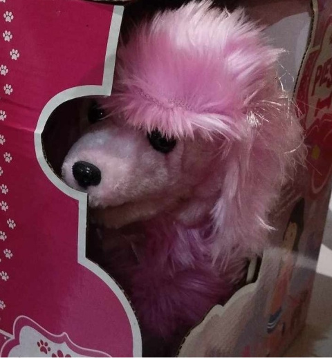 INTERAKTYWNA MASKOTKA CHODZĄCY PIES PUDEL. PIESEK NA SMYCZY